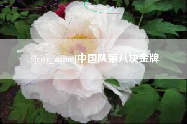 中国香港中国队第八块金牌
