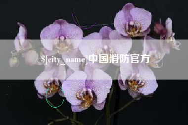 中国香港中国消防官方