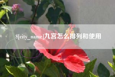 中国香港九宫怎么排列和使用