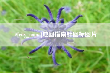 中国香港地图指南针图标图片