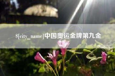 中国香港中国奥运金牌第九金