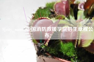 中国香港中国消防救援学院招生章程公布!