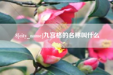 中国香港九宫格的名称叫什么