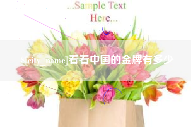 中国香港看看中国的金牌有多少